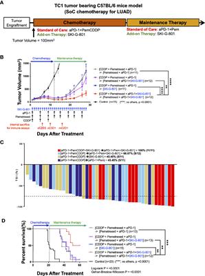 Incorporation of SKI-G-801, a Novel AXL Inhibitor, With Anti-PD-1 Plus Chemotherapy Improves Anti-Tumor Activity and Survival by Enhancing T Cell Immunity